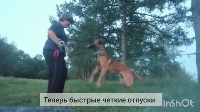 Медленные отпуски с поджевыванием (Шароха)