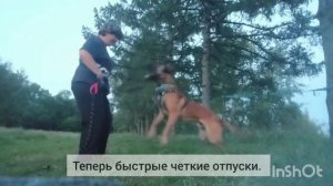 Медленные отпуски с поджевыванием (Шароха)