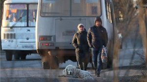 Матвиенко призвала убрать старые автобусы из городов России
