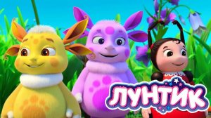 Лунтик Мультфильм | Лунтик мультики для малышей | Лунтик смотреть