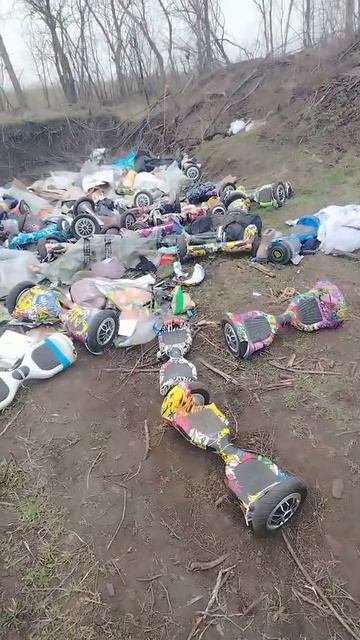 ����� ���� � ������������ �� ������������