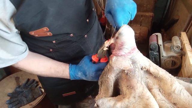 Выделка шкур 54