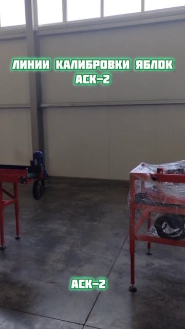 Линия калибровки яблок в Краснодаре