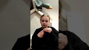 монстриксы