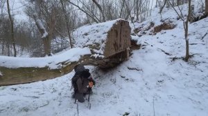 ШАЛАШ НА ДЕРЕВЕ, НОЧУЮ ЗИМОЙ В ЛЕСУ