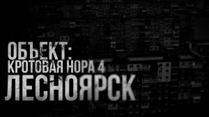 ОБЪЕКТ: КРОТОВАЯ НОРА 4. Лесноярск | страшные истории | ужасы | мистика