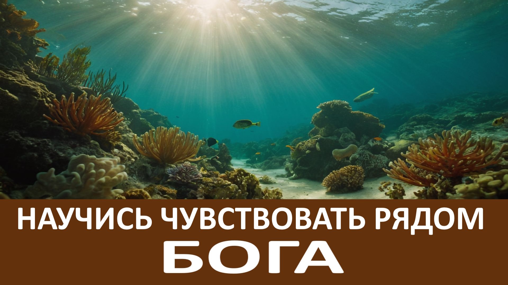 Научитесь ПРАВИЛЬНО смотреть на свои ПРОБЛЕМЫ смотреть онлайн