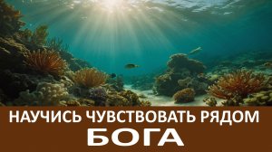 Научитесь ПРАВИЛЬНО смотреть на свои ПРОБЛЕМЫ