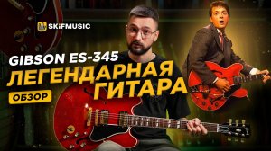 Гитара Марти Макфлая из «Назад в будущее» | Обзор на Gibson ES-345 | SKIFMUSIC.RU