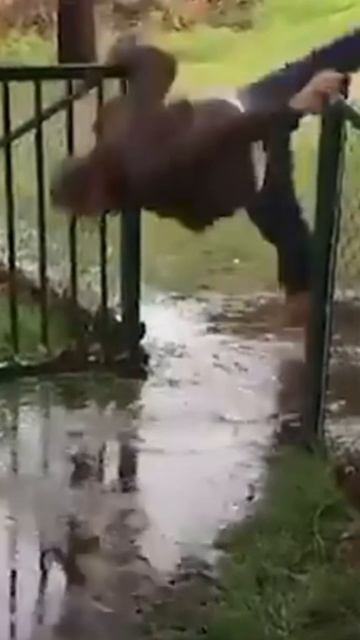 ахахахахахахах.mp4