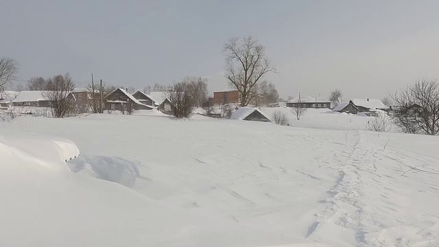 8 марта 2026 год . Зима в полном разгаре.