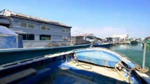 Жизнь на воде. Китай.