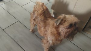 В гости, с ответным визитом. Копаемся, как жуки. Простая жизнь.