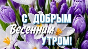 Доброе утро! Шикарная музыкальная открытка.