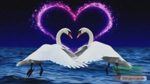 ПОВЕСТЬ,ПОХОЖАЯ НА СОН...