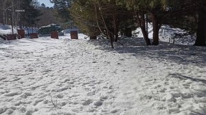 Потеплело. Обеденная прогулка.mp4