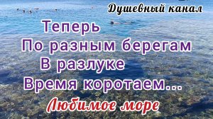 ТЕПЕРЬ ПО РАЗНЫМ БЕРЕГАМ В РАЗЛУКЕ ВРЕМЯ КОРОТАЕМ