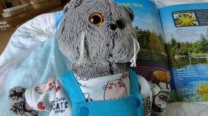 Влог с басиками