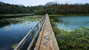 UK, Bosherston Lily Pools Walk - Peaceful Welsh Countryside