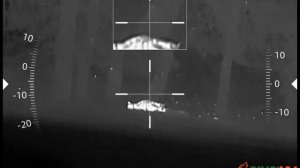 Тепловизионные прицелы RikaNV - выстрелы по лисам, кабанам и лосям