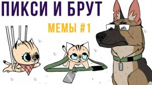 Пикси и Брут мемы) Часть 1