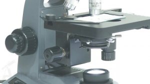 Обзор микроскопа Levenhuk 740T