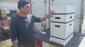 Сендвич-улей из Набережных Челнов