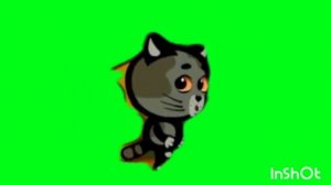 тоша футажи для всех