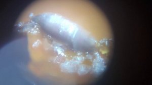 КУДА СМОТРИТ ЖОПНАЯ ПРОВЕРКА ФИНИКОВ?!