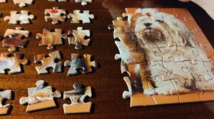 приятного просмотра