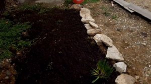 делаем клумбу