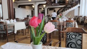 Реабилитация в санатории. Цветы 💐 шампанское 🥂 концерт 🎤