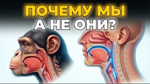 ПОЧЕМУ обезьяны не заговорили, а мы — да?