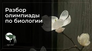 Разбор заданий олимпиады по биологии 🌿