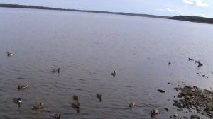 vatravel.ru Себежское озеро (г.Себеж, Псковская обл)