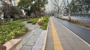 Нереальное цветение сакуры  в Китае 🌸 🌺 🌹 ВОСТОРГ