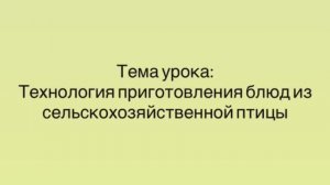 641, УП, 19.03.2026 - Продолжение темы «Технология приготовления из сельскохозяйственной птицы»