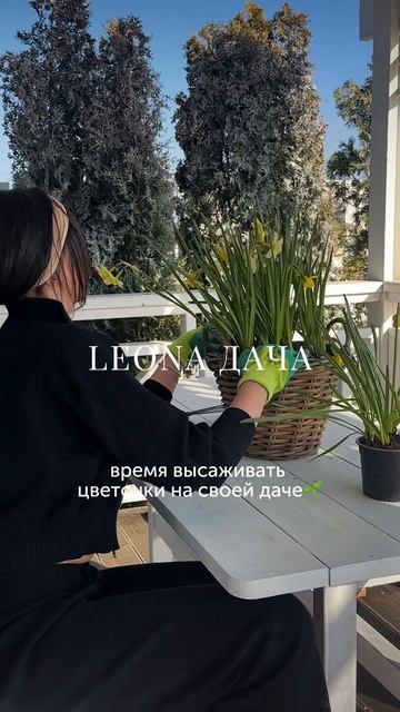 Хозяйка Leona Дача 2 серия