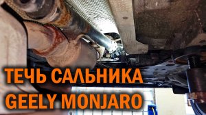 Очередная течь сальника Джили Монжаро - Автотехцентр SoundSpeed