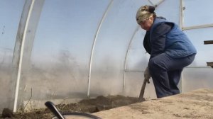 Дарю червей рыбакам Горе работники испортили теплицу