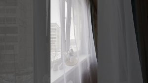 г. Томск, ул. Лебедева 41