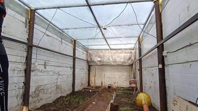уборка в подземной теплице