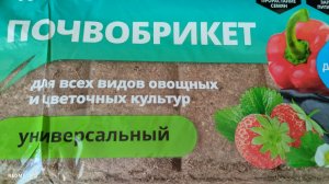 Подготовка грунта для посева семян