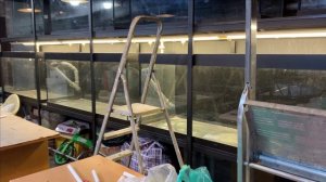 Пруд в гараже.Стойка для дискусов готова