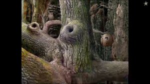 Samorost 1 (Amanita Design)