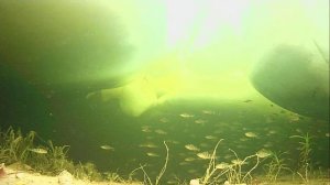 1000011780.mp4Волга гл.2м.18.03.2026г.