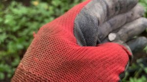 Находки поперли.  Нашел старую дорогу