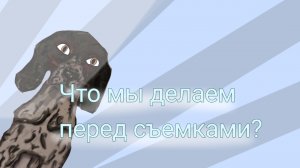 Что мы делаем перед съемками? Собаки тайно съели вкусняшки ? Пробное видио с озвучкой! 🩵