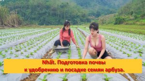 Nhất. Подготовка почвы к удобрению и посадке семян арбуза.