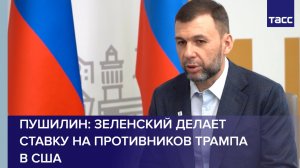 Зеленский делает ставку на противников Трампа в США — Пушилин